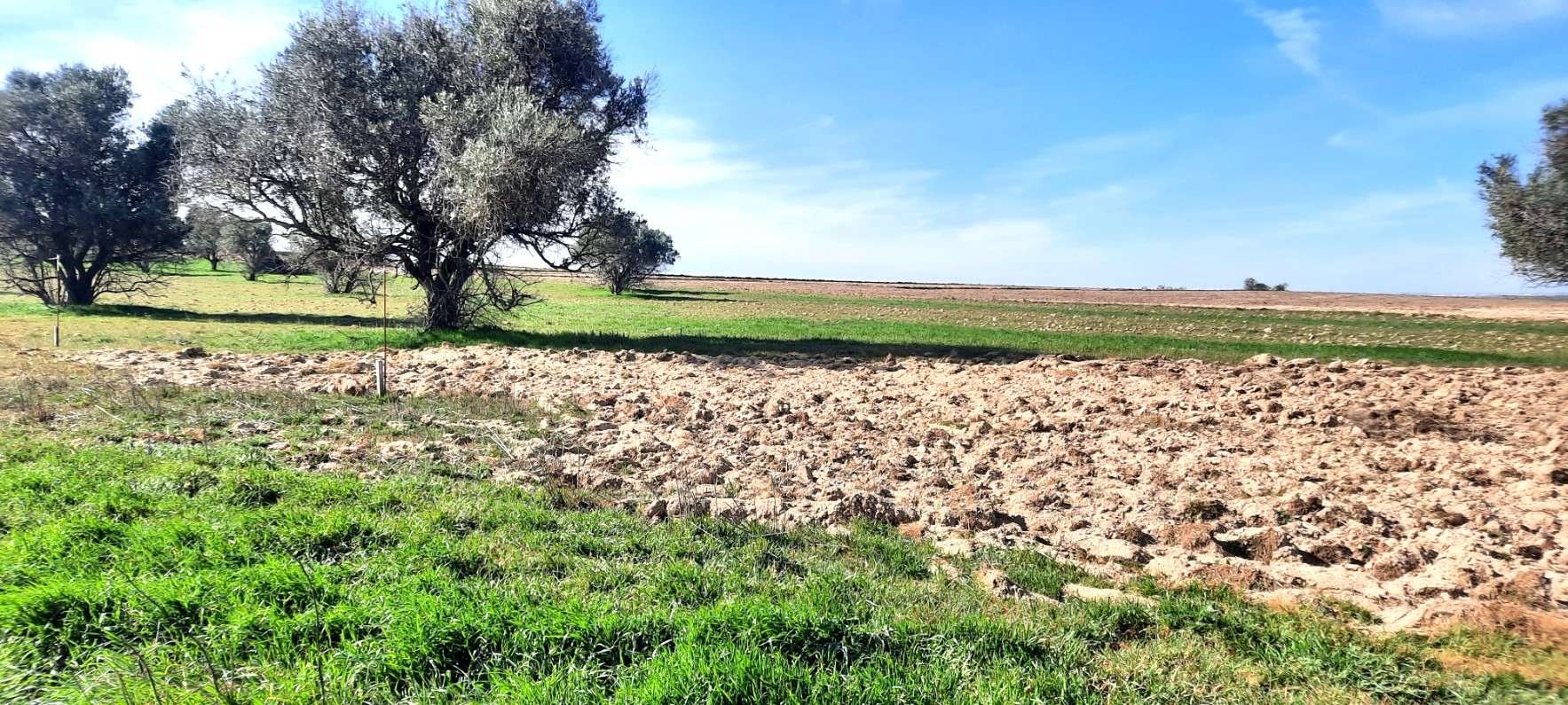 Pueblo