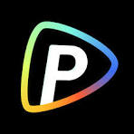 Logo de POLLO AI